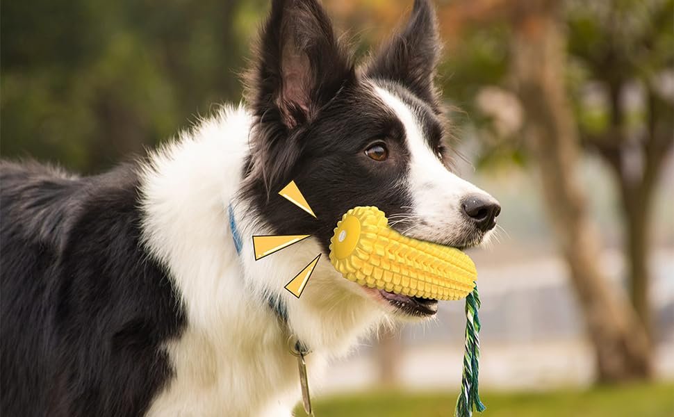 Indestructible Dog Chew Toy for Aggressive Chewers – Tough Squeaky Corn Stick