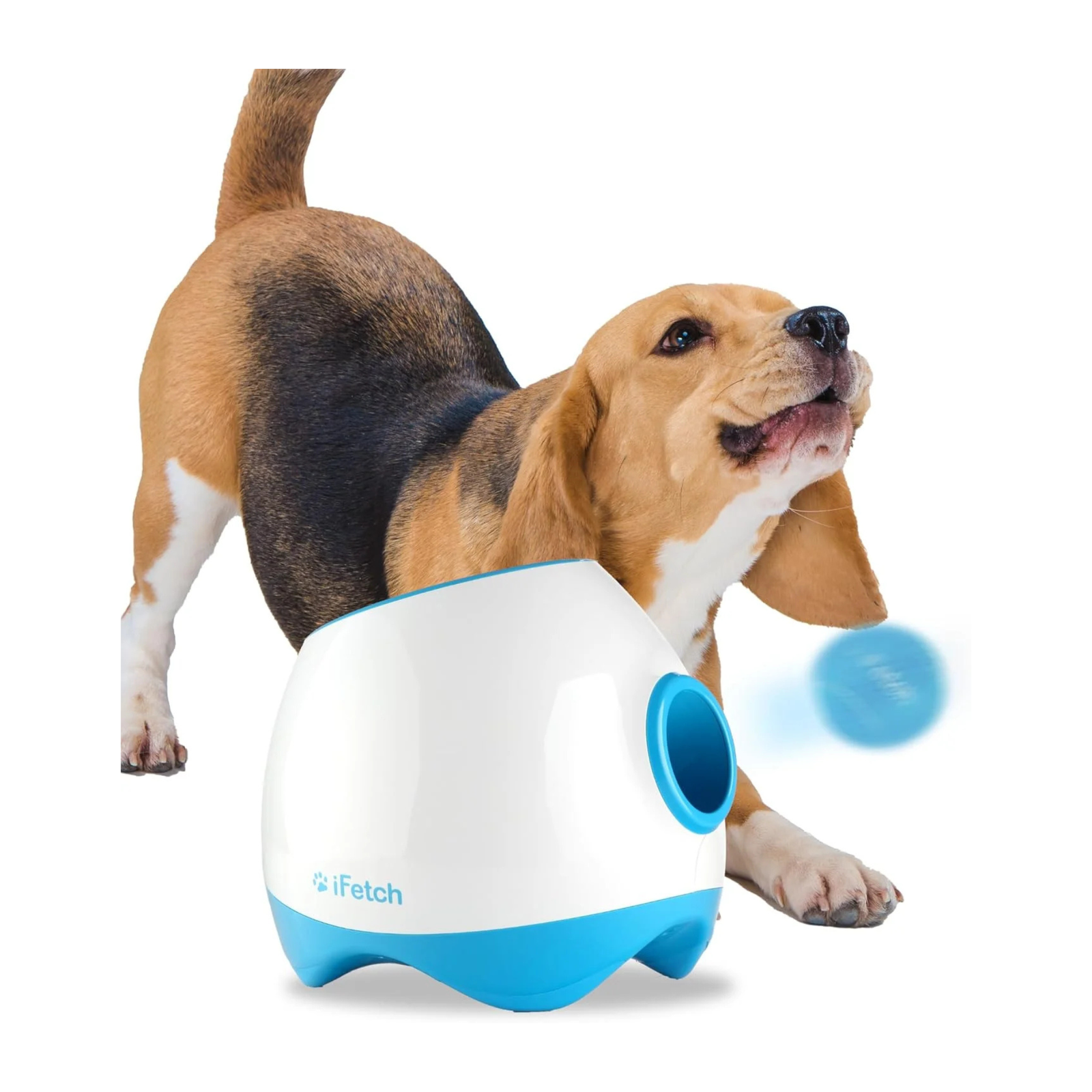 indoor ball launcher for dogs