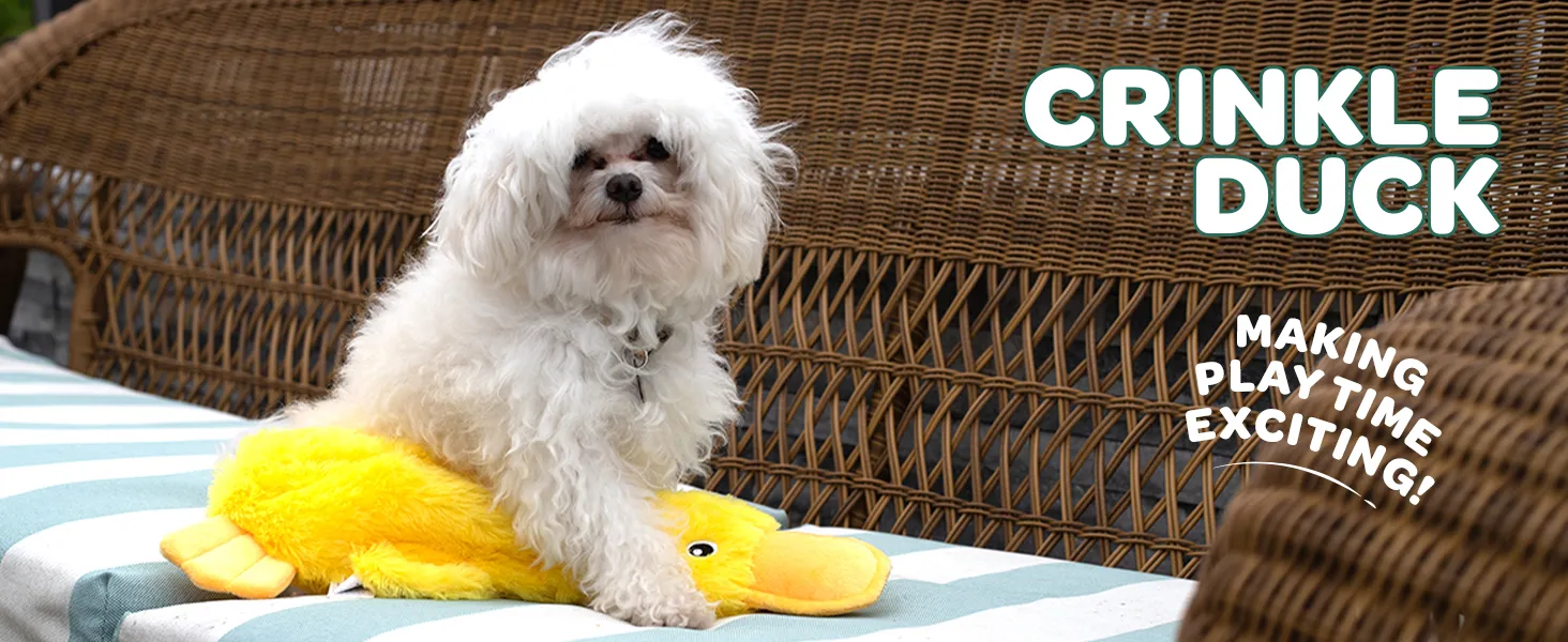 crinkle-duck-dog-toy-yellow-squeaky-plush.webp